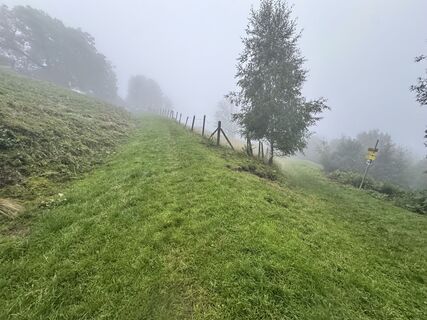 Foto von Baecker entlang der Tour
