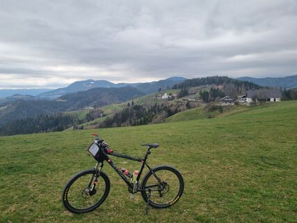 Photo de Grizli le long du parcours