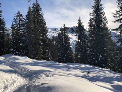 Fotografia z Gridlokk na trase