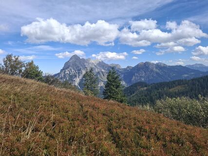 Foto von Michael Putz entlang der Tour