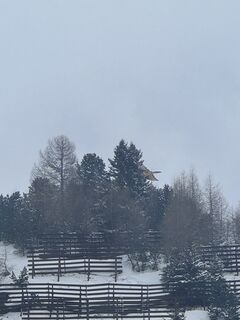 Fotografija s spletne strani Felix Krall na poti