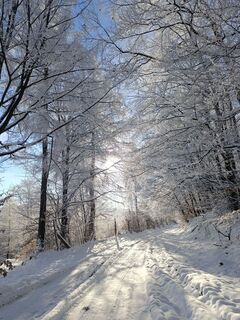 Photo de Zita Ujj le long du parcours