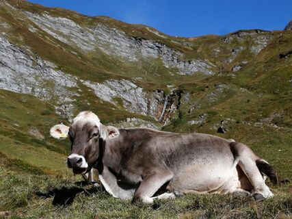 Die Alpbetriebe im Val Pontirone