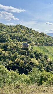 Foto von MM entlang der Tour