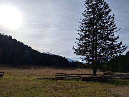 Foto van Andi68 langs de tour