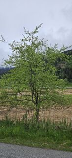Foto von Max Ritzinger entlang der Tour