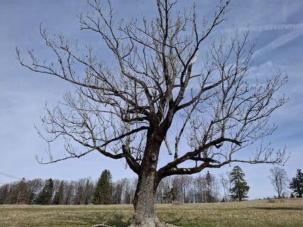 Foto von Helmut Koeck entlang der Tour