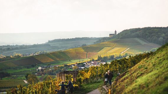 Am Württembergischen Weinwanderweg im Zabergäu | Brackenheim-Neipperg | HeilbronnerLand