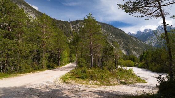Scharnitz - Wanderung Dorfrunde - Weg bei Gießenbach.jpg