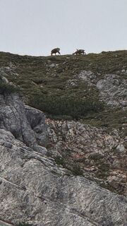 Photo de Florian Sidorenko le long du parcours