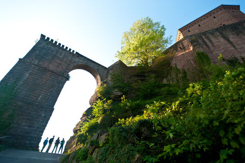Tor zur Trifels