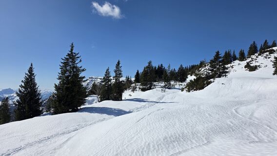 Foto von Horst Leo entlang der Tour