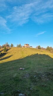 Photo de Hermanngonaus le long du parcours