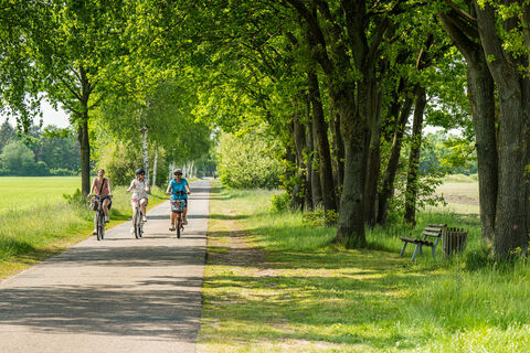 Unterwegs auf dem Reininger Kirchweg