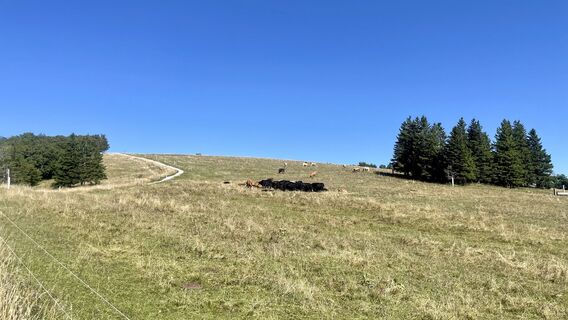 Fotografie de la michael lierka de-a lungul turului