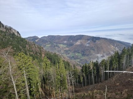 Foto von Eric Trajer entlang der Tour