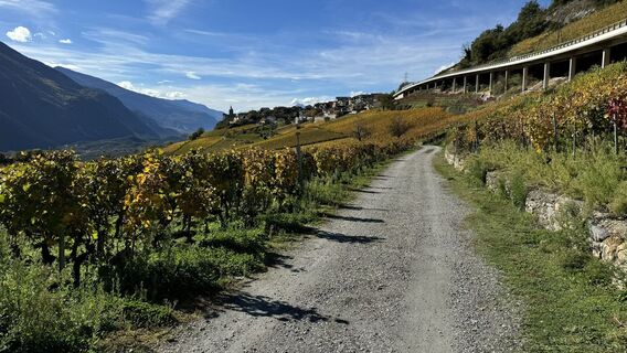 Fotografie z peter_oe na trase