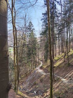 Photo de ReginaSt le long du parcours