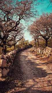 Photo de Neno le long du parcours