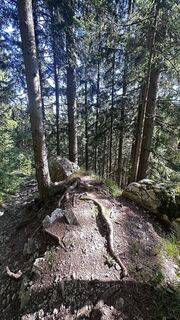 Foto von Kerstin Ratzinger entlang der Tour