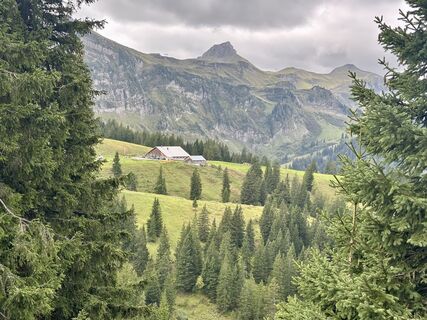 Fotografija s spletne strani Monica Bagge na poti
