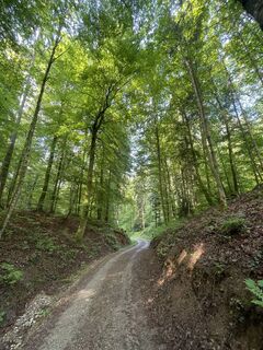 Foto de André Pohlmann a lo largo del recorrido