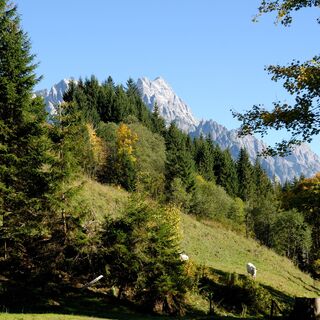 Karte