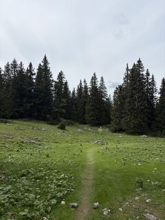 Foto von N.N 16 entlang der Tour