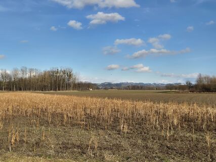 Foto de josef duermoser a lo largo del recorrido