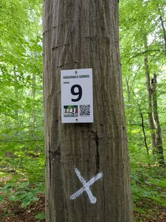 Märchenwald_Rundweg_Beschilderung_Station.jpg