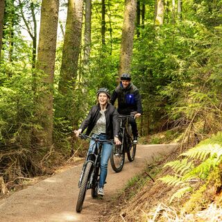 Green Trails Willingen (5).jpg