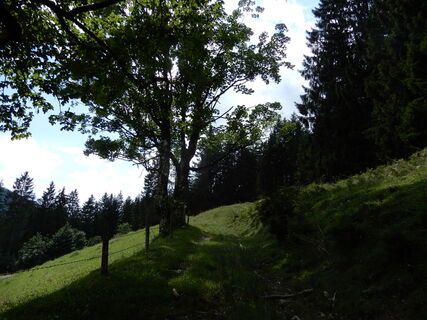 Lungötz - Dr. H. Hackel Hütte