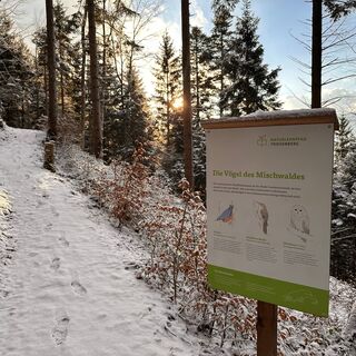 Naturlernpfad Triesenberg