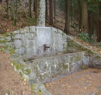 Brunnen am Farrenkopf