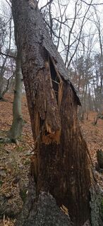 Photo de Markus Ortner le long du parcours
