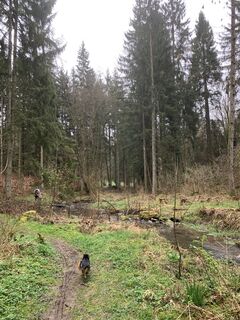 Photo from vieletausendkilometer along the tour