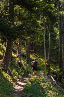 Weg zum Wildschloss