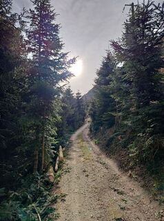 Foto von Thomas Oberholzer entlang der Tour