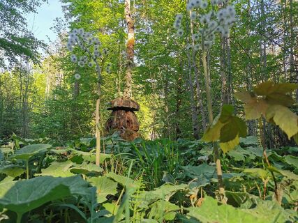 kräuterrundweg in gößl_img_80819374