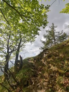 Fotografija s spletne strani Turbinio na poti