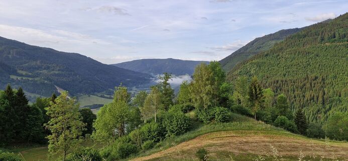 Photo de Nuitl le long du parcours