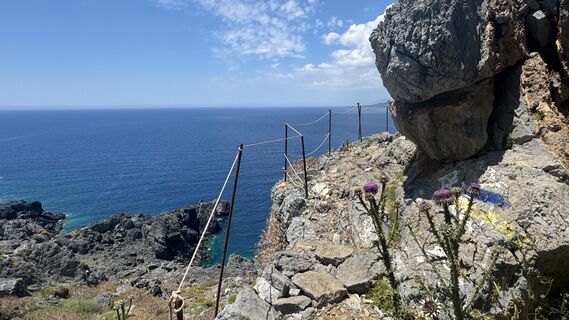 Photo de Xenos le long du parcours