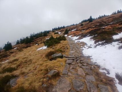 Photo de Daniel Kremiec le long du parcours