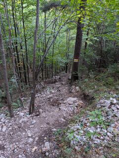 Photo de HOJ_09 le long du parcours