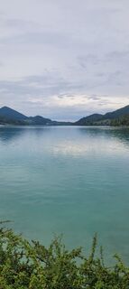 Fotografija s spletne strani Nicky na poti