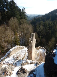 Fotografie de la Flora 1952 de-a lungul turului
