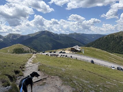Fotografija s spletne strani Gerald Kleber na poti