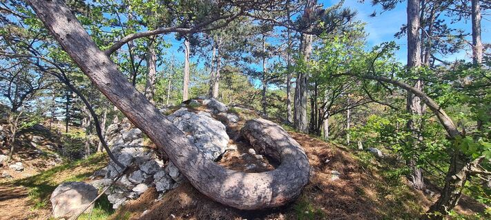 Foto de Alexandra Stani a lo largo del recorrido