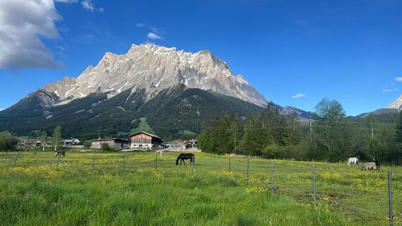 Foto von One T entlang der Tour