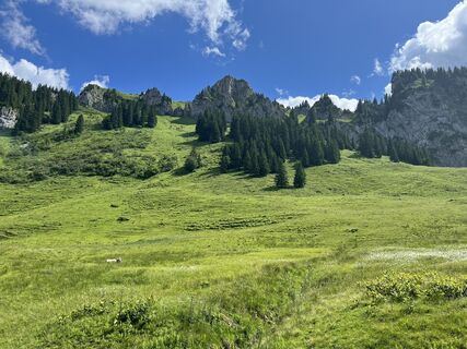 Fotografia z Peter Gerdemann na trase